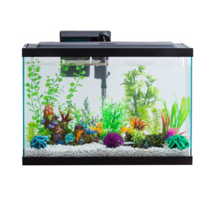 aqua culture 20 gallon aquarium starter kit with led